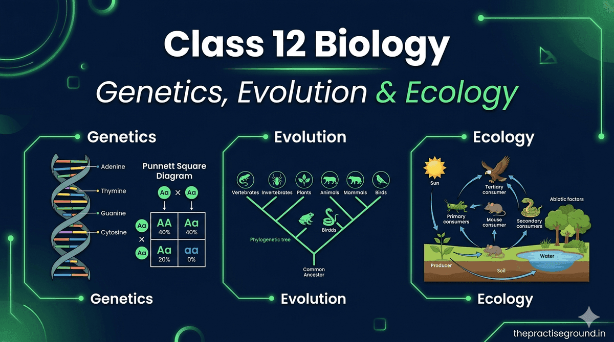 Class 12 Biology infographic showing genetics with Punnett square, evolution with phylogenetic tree, and ecology with food web diagram