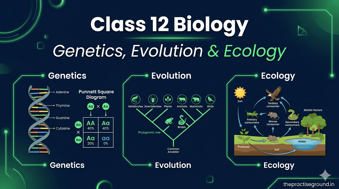 Class 12 Biology infographic showing genetics with Punnett square, evolution with phylogenetic tree, and ecology with food web diagram