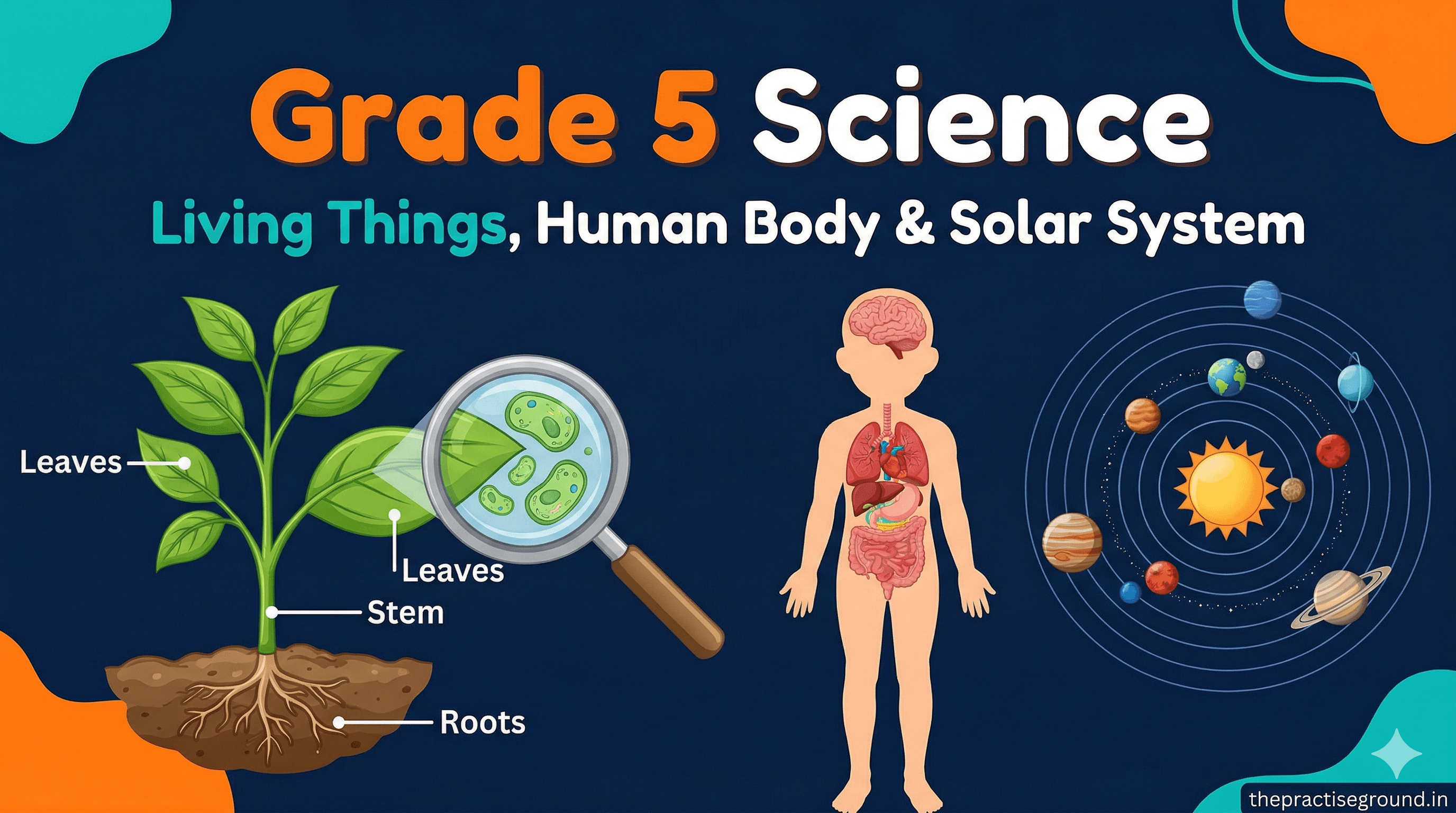 Grade 5 Science infographic showing living things, human body, and solar system on dark navy background